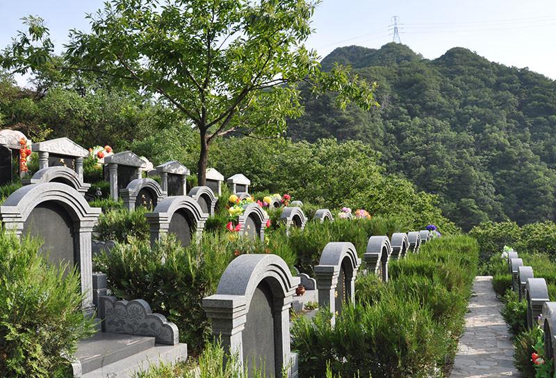 九公山长城纪念林图片在哪里可以找的到?