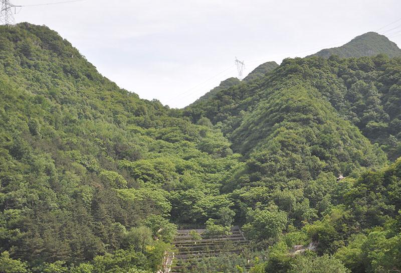 九公山长城纪念林铁军园,爱国主义教育基地