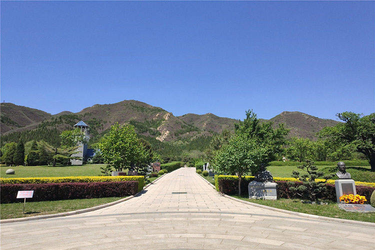 北京有哪些树葬陵园?这些陵园怎么样?