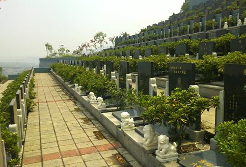 1604272429100857.png 11.png