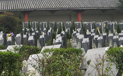 1606718157123221.png 8.png