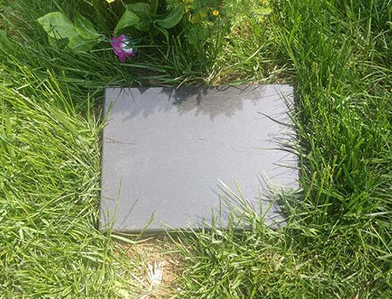 1618787063900827.png 11.png