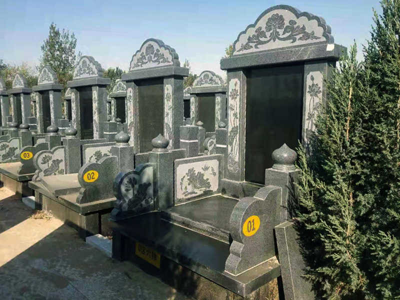1637981370431909.jpg 天福D区荷花.jpg