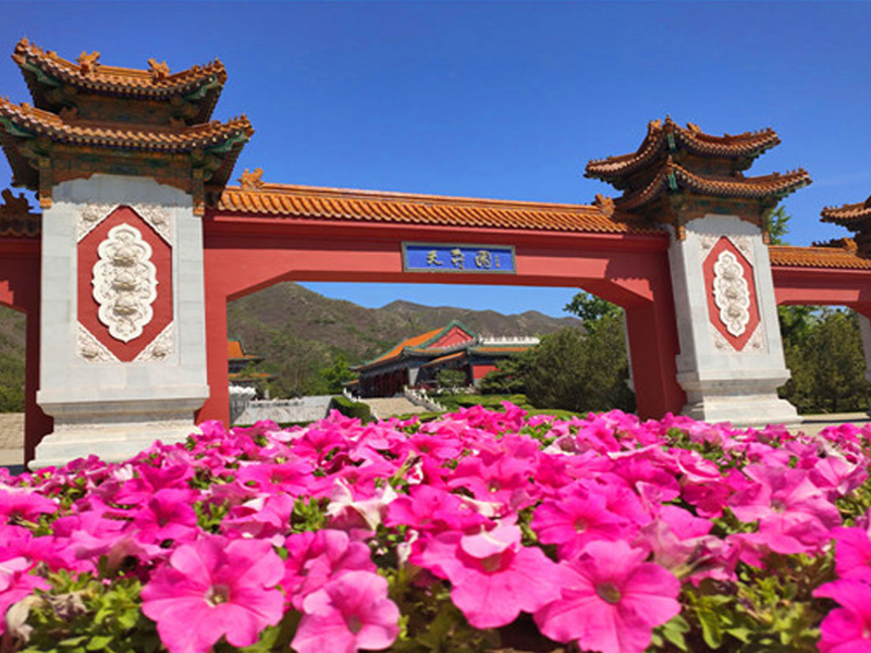 1639625459865369.jpg 天寿大门.jpg
