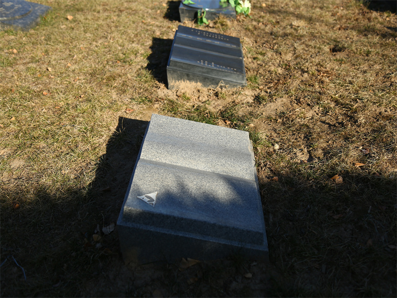 1639804668129616.jpg IMGL1048.jpg