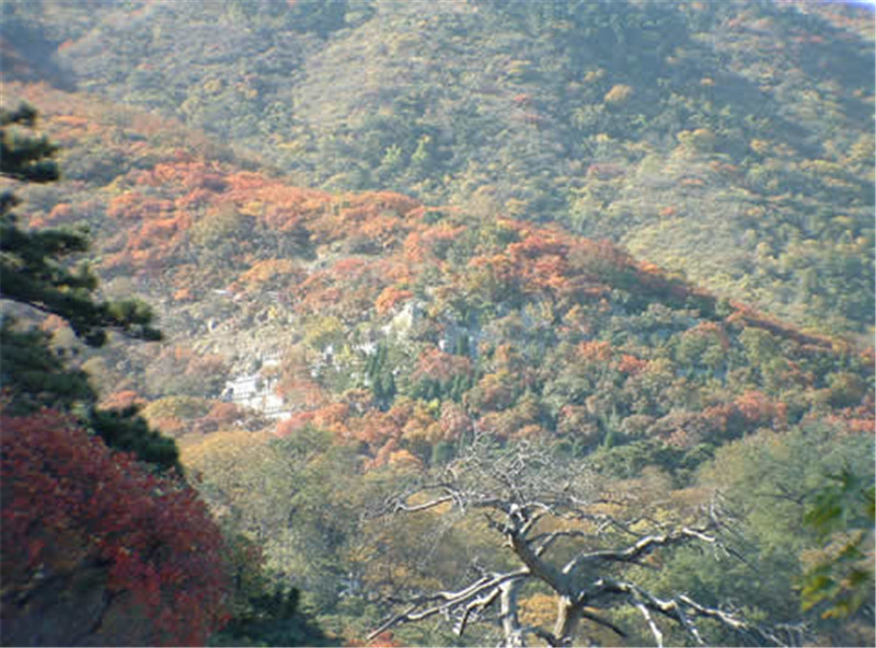 金山陵园 金山陵园