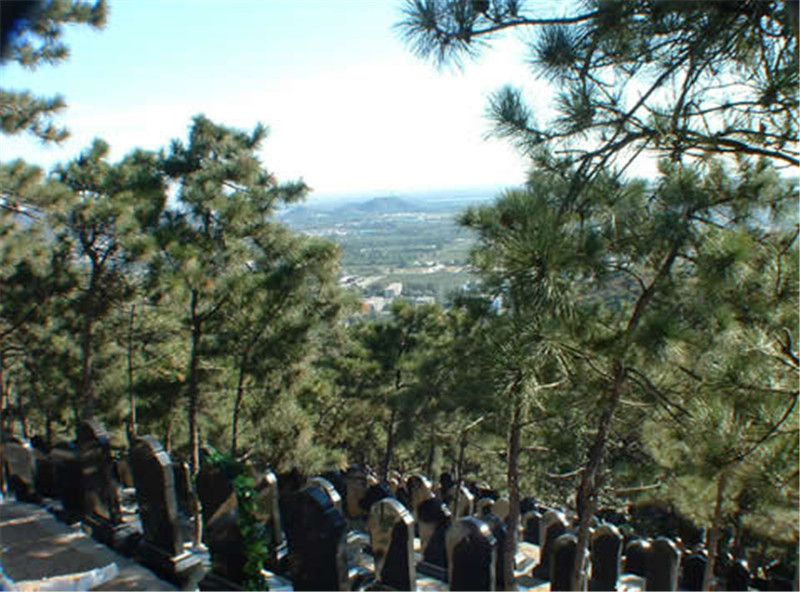 金山陵园 金山陵园