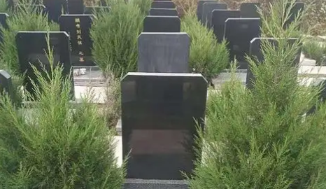 1649055495297650.png 1.png