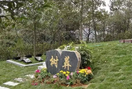 1650595340163994.png 图片3.png
