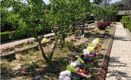 1650855417518317.png 图片4.png