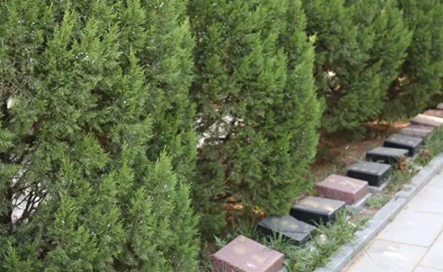 1650856896855041.png 图片11.png