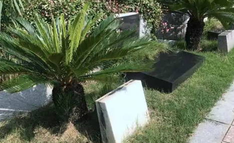 1650857108562597.png 图片15.png
