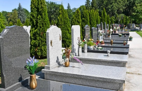 1650872551836236.png 图片25.png
