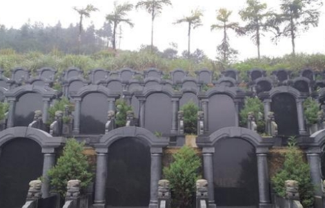 1650872697195966.png 图片27.png