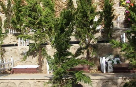 1650872835162488.png 图片30.png