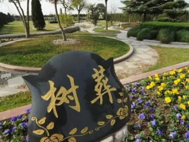 1651300601104382.png 图片9.png