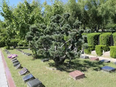 1651390673366028.png 图片4.png