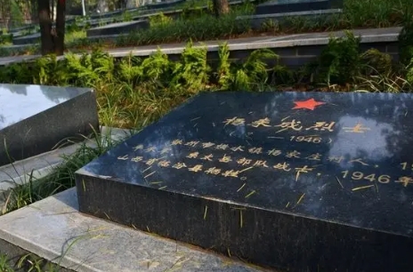 1651545233111344.png 下载 (6).png