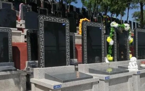 下载 (7).png