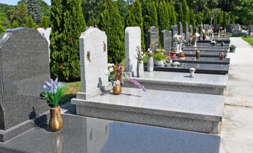 1651630726258147.png 下载 (7).png