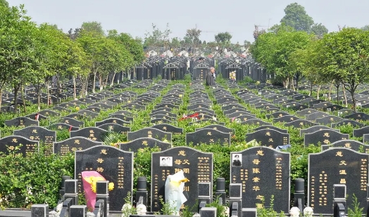 1651722768738468.png 下载 (7).png