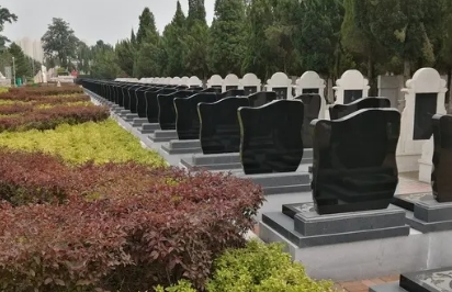 1652077997110574.png 下载 (2).png