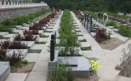 1652152318119529.png 下载 (5).png