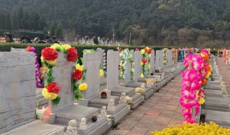 1652152545921224.png 下载 (9).png