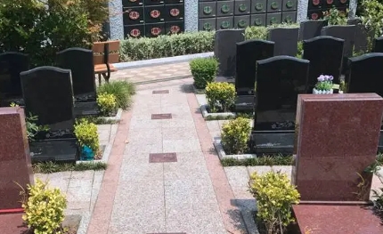 1652237424109163.png 下载 (3).png