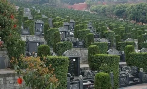 1652237613563372.png 下载 (8).png