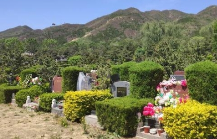 1652325141121031.png 下载.png