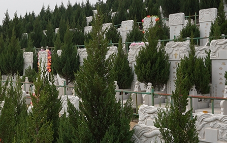 1652325447994034.png 下载 (6).png