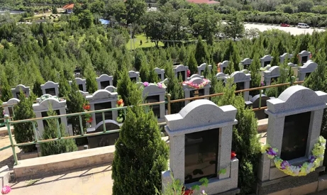 1652409547176430.png 下载 (1).png