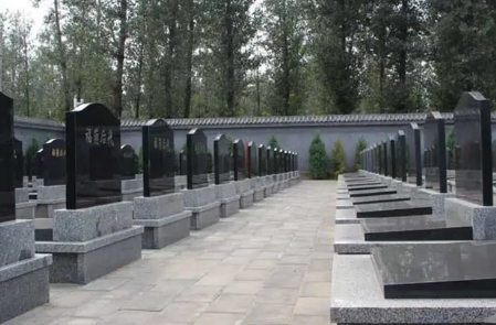 1652410155110961.png 下载 (7).png