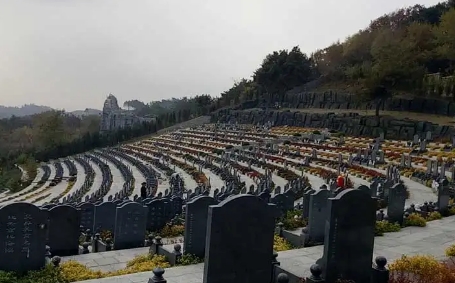 1653381063139349.png 下载 (8).png