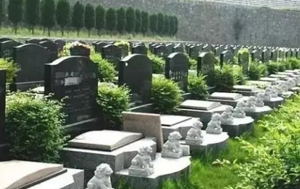1654054383103302.png 下载 (5).png
