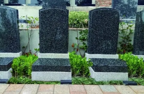 1654054516421883.png 下载 (9).png
