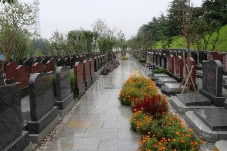 1654137892123574.png 下载 (2).png