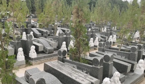 1654137990486990.png 下载 (4).png