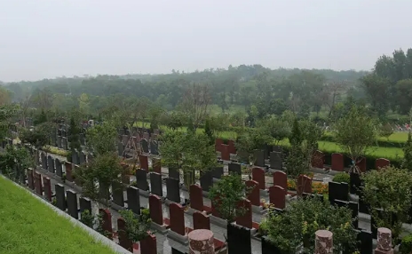 1654138130630587.png 下载 (8).png