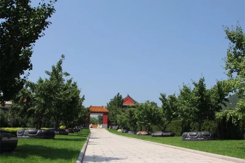 北京树葬指定区域在什么地方?北京树葬墓地费用标准