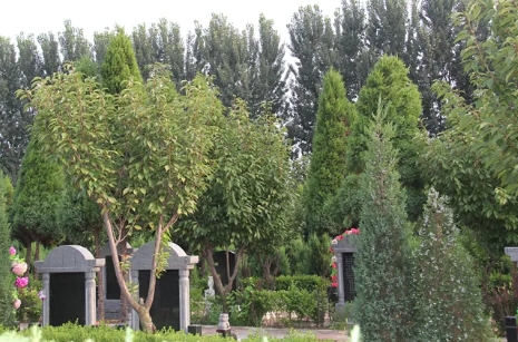 1654236932125265.png 下载 (6).png