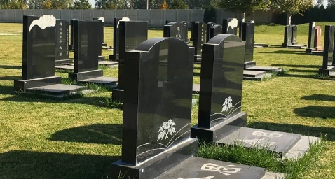1654573303446669.png 下载 (1).png