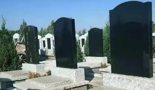1654573613875868.png 下载 (9).png