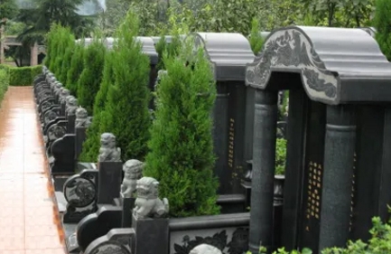 1654668335580670.png 下载 (3).png