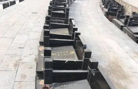 1654668521217869.png 下载 (7).png