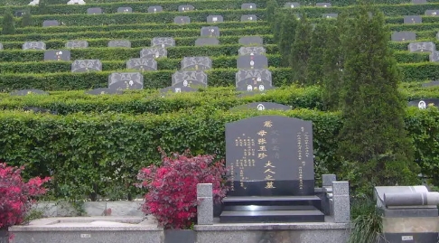 1654668616975229.png 下载 (9).png