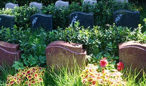 1654743407972087.png 下载.png