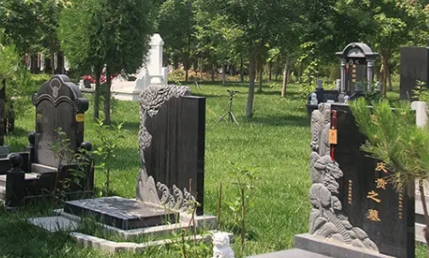 1654743774105380.png 下载 (8).png