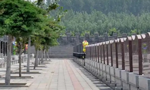 1654829154526106.png 下载.png